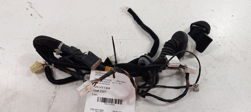 Hyundai XG350 Door Harness Wire Wiring Right Passenger Front 2003 2004