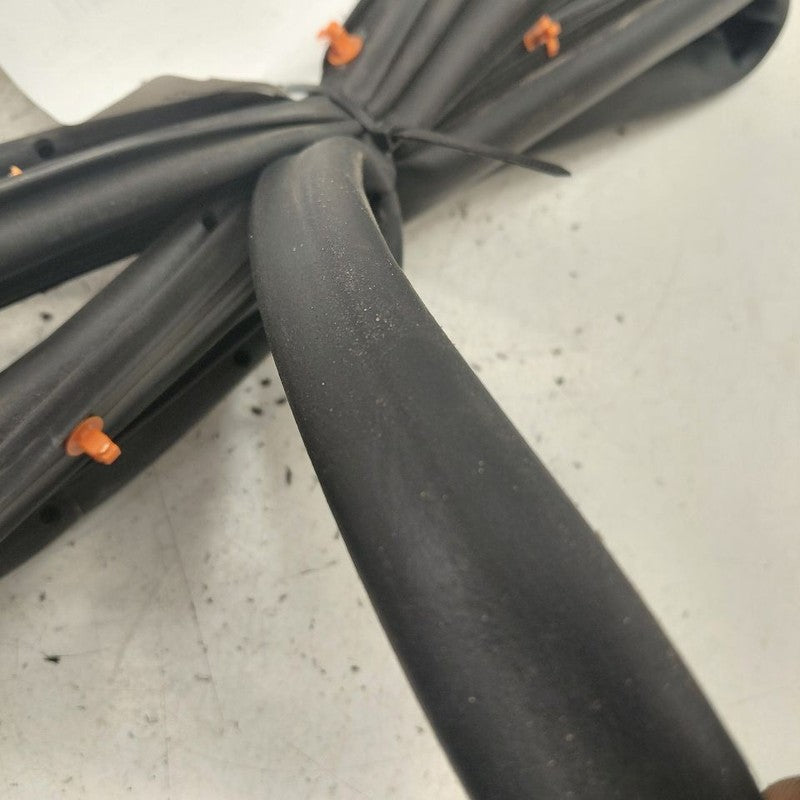 Ford Edge On Door Seal Rubber Left Driver Front  2019 2020 2021 2022