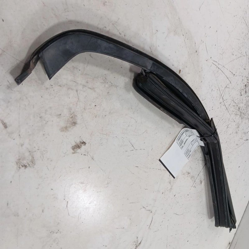 FIAT 500 Door Glass Window Seal Rubber Right Passenger Rear Back  2017