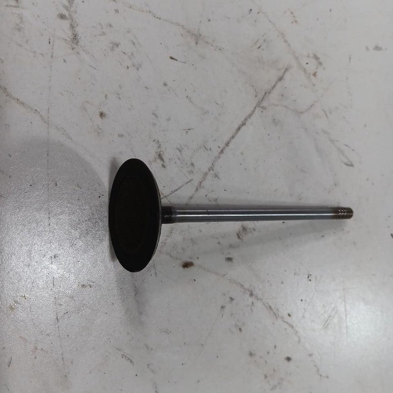 Jeep Compass 2.4 Cylinder Head Intake Valve 2017 2018 2019 2020 2021 2022 2023