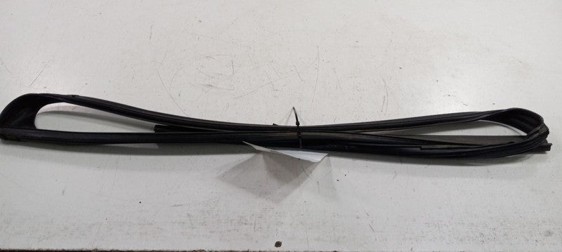 Honda Accord Door Glass Window Seal Rubber Right Passenger Front 2012 2011 2010 