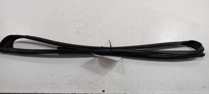 Honda Accord Door Glass Window Seal Rubber Right Passenger Front 2012 2011 2010 