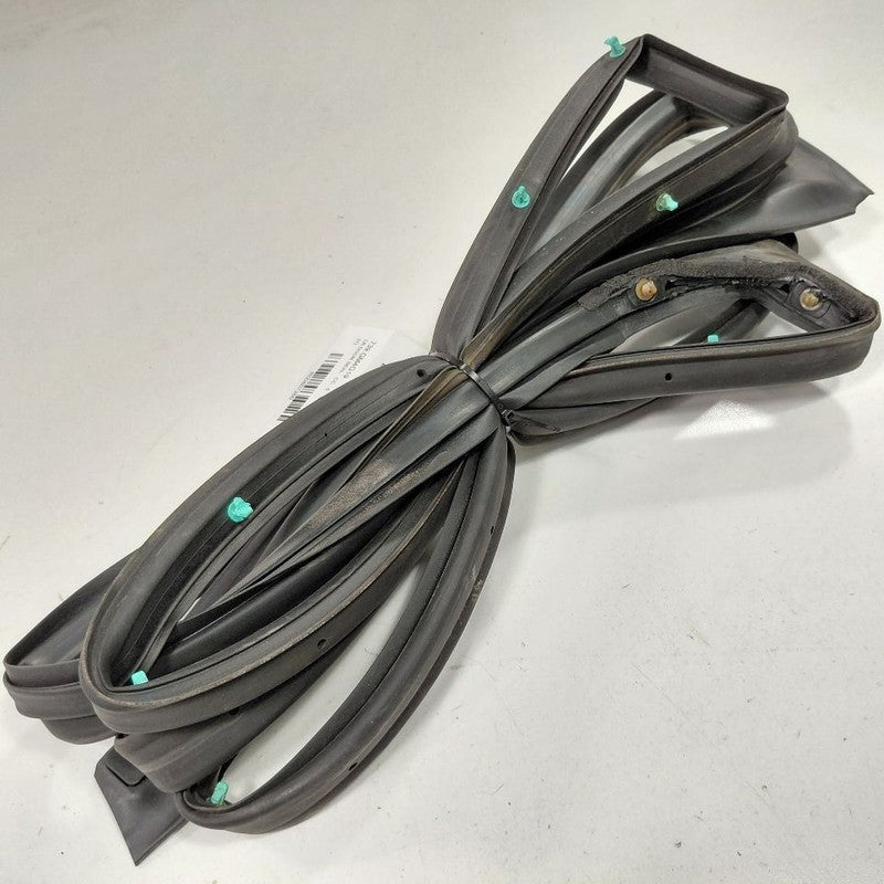 Buick Encore On Door Seal Rubber Left Driver Rear Back  2020 2019 2018
