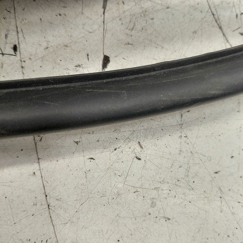 Hyundai Veloster On Door Seal Rubber Right Passenger Rear Back  2017 2