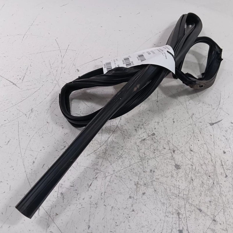 Kia Forte Door Glass Window Seal Rubber Right Passenger Rear Back  201