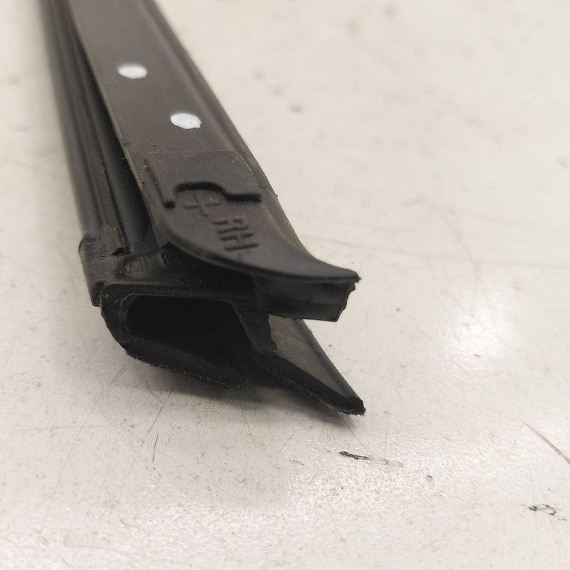 Chevy Volt Right Front Weather Strip Interior  2019 2018 2017 2016