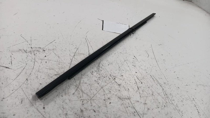 Dodge Dart Door Glass Window Weather Strip Trim Rear Left Back  2013 2014