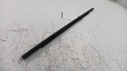 Dodge Dart Door Glass Window Weather Strip Trim Rear Left Back  2013 2014