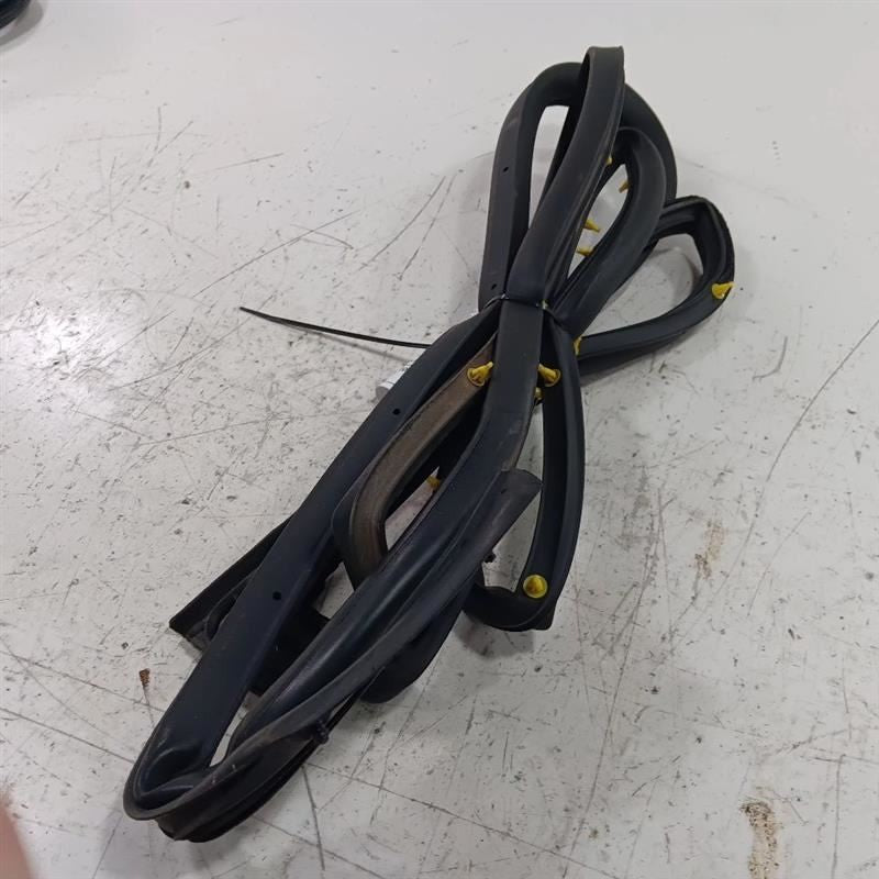 Toyota Rav 4 On Door Seal Rubber Right Passenger Front  2015 2016 2017 2018
