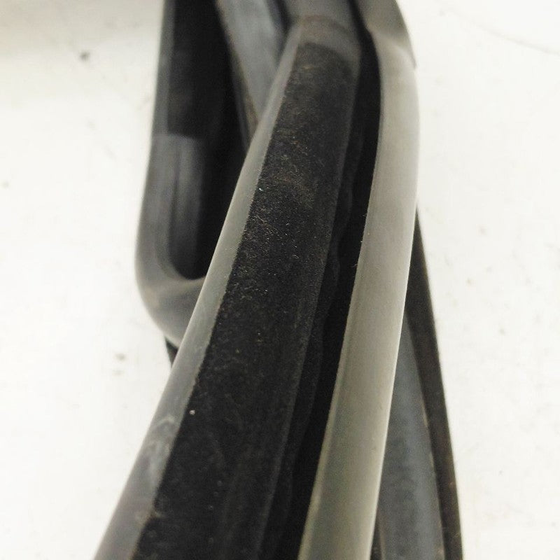 Ford Ecosport Door Glass Window Seal Rubber Left Driver Rear Back 2020