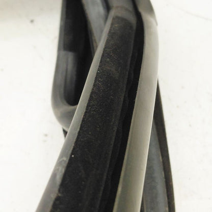 Ford Ecosport Door Glass Window Seal Rubber Left Driver Rear Back 2020
