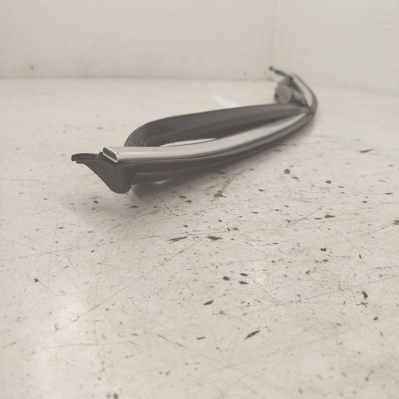 Volvo S60 Door Glass Window Seal Rubber Left Driver Front  2013 2014 2