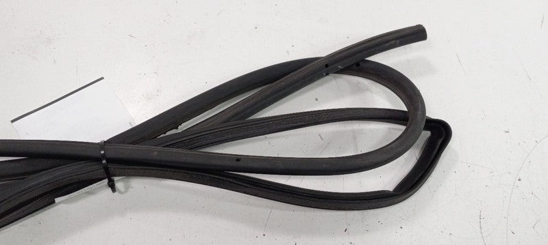 Volkswagen Rabbit On Door Seal Rubber Right Passenger Front 2006 2007 
