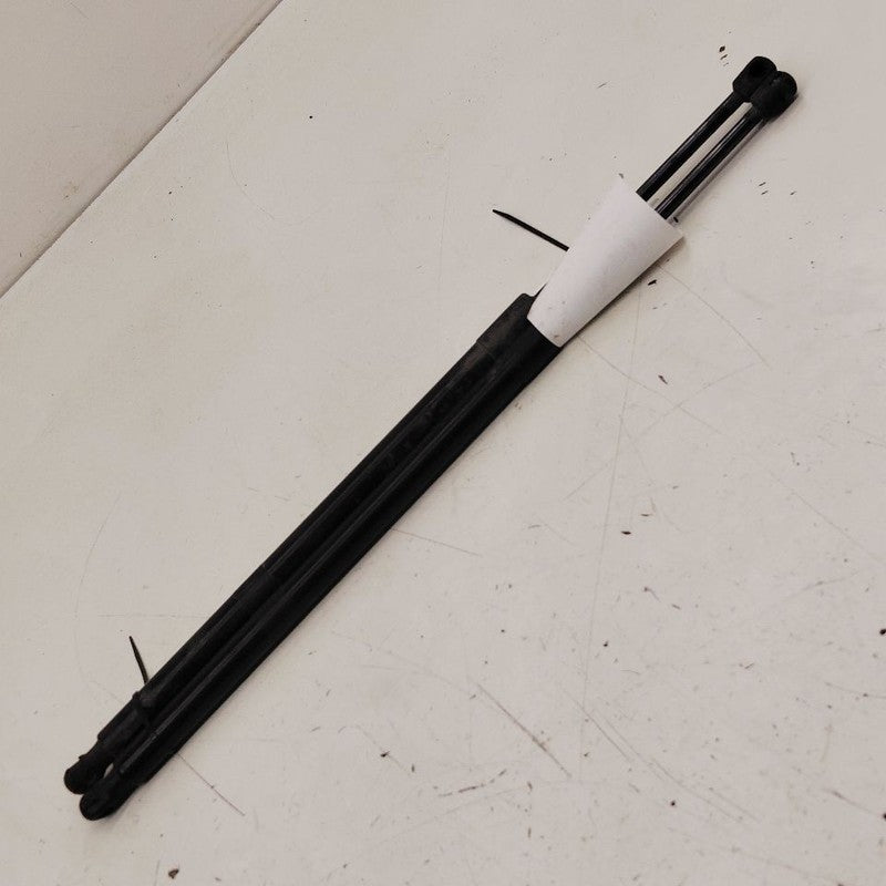Ford Escape Hatchback Hatch Back Trunk Lid Shock Strut Support  2022 2