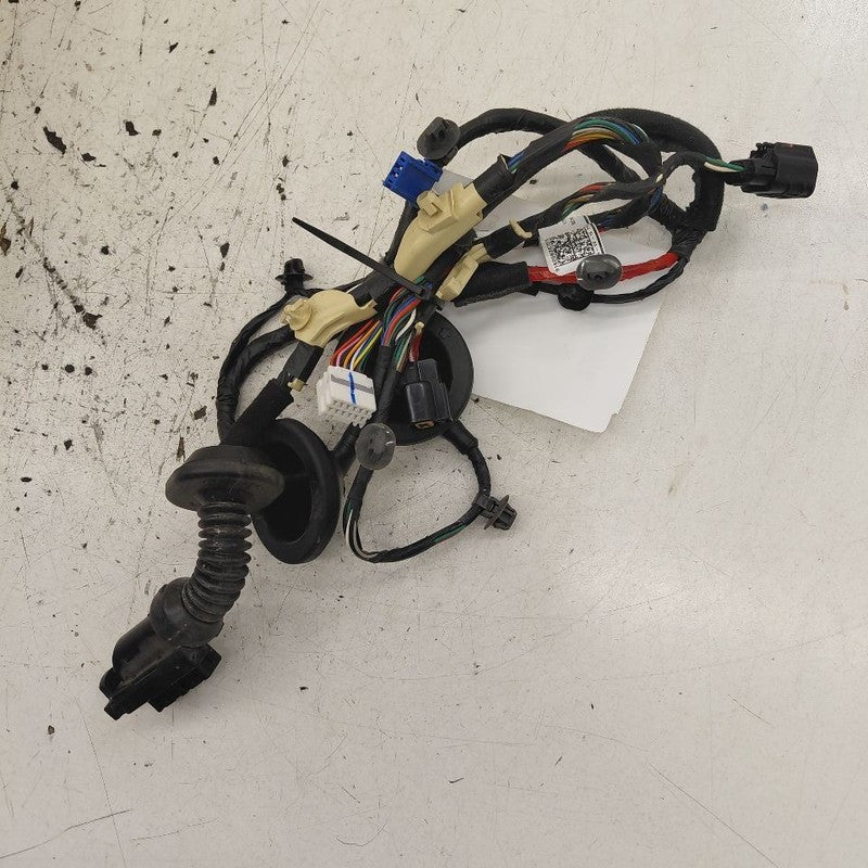 Hyundai Santa Fe Door Harness Wire Wiring Left Driver Rear  2019 2020