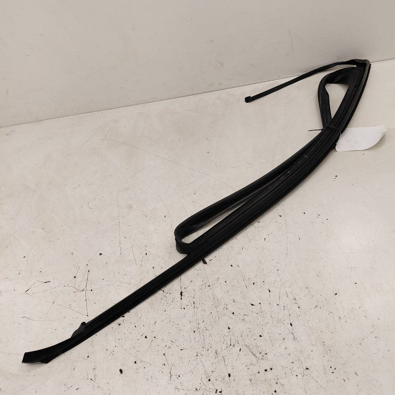 Cadillac CT6 Door Glass Window Seal Rubber Left Driver Front  2018 201