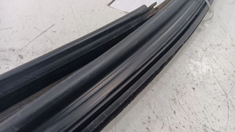Dodge Dart Door Glass Window Seal Rubber Right Passenger Front  2013 2