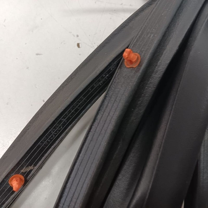 Acura ILX On Door Seal Rubber Left Driver Front  2016 2017 2018 OEM