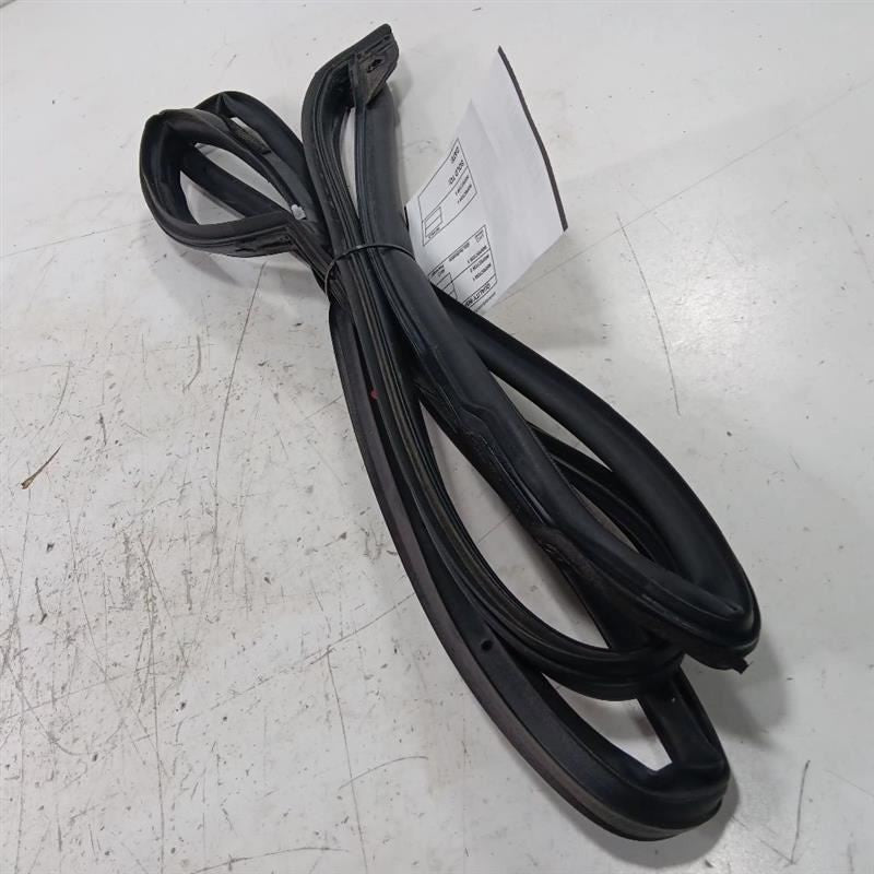Nissan LEAF On Door Seal Rubber Left Driver Front  2013 2014 2015 2016 2017