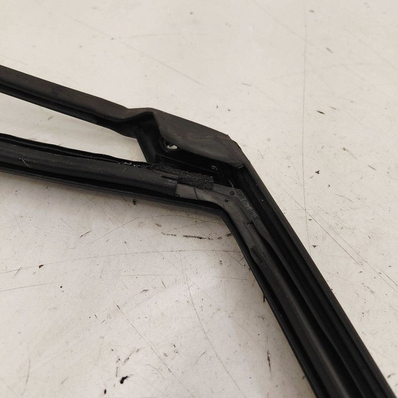 Ford Escape Door Glass Window Seal Rubber Left Driver Rear Back  2022 