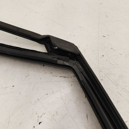 Ford Escape Door Glass Window Seal Rubber Left Driver Rear Back  2022 