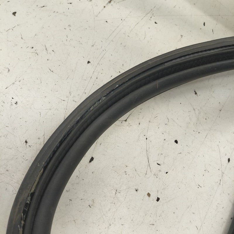 Ford Escape Trunk Lid Hatch Door Rear Back Rubber Seal  2020 2021 2022