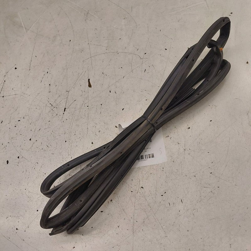 Hyundai Kona On Door Seal Rubber Right Passenger Rear Back  2021 2020 