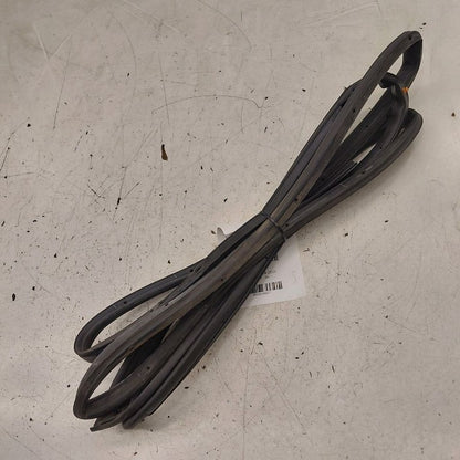 Hyundai Kona On Door Seal Rubber Right Passenger Rear Back  2021 2020 