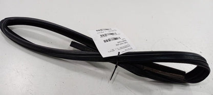 Volkswagen Jetta Door Glass Window Seal Rubber Right Passenger Front 2