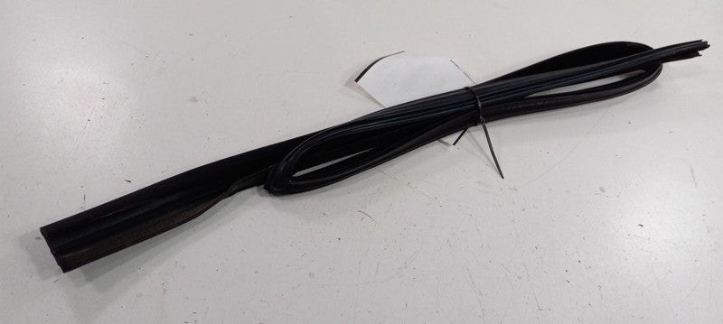 Range Rover Door Glass Window Seal Rubber Right Passenger Rear Back 20