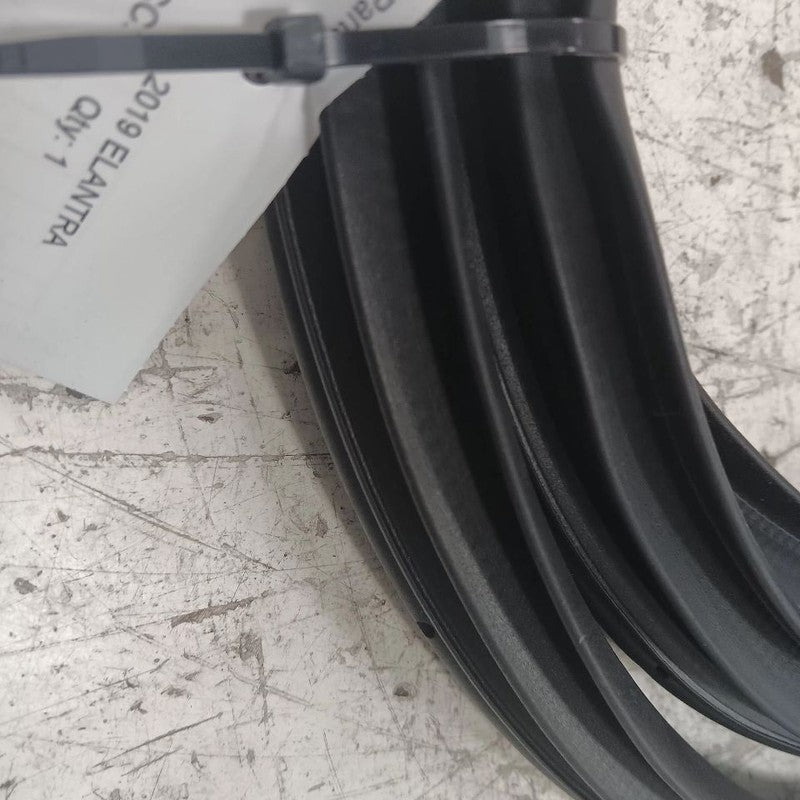 Hyundai Elantra On Body Door Jamb Seal Front Right Passenger  2017 201