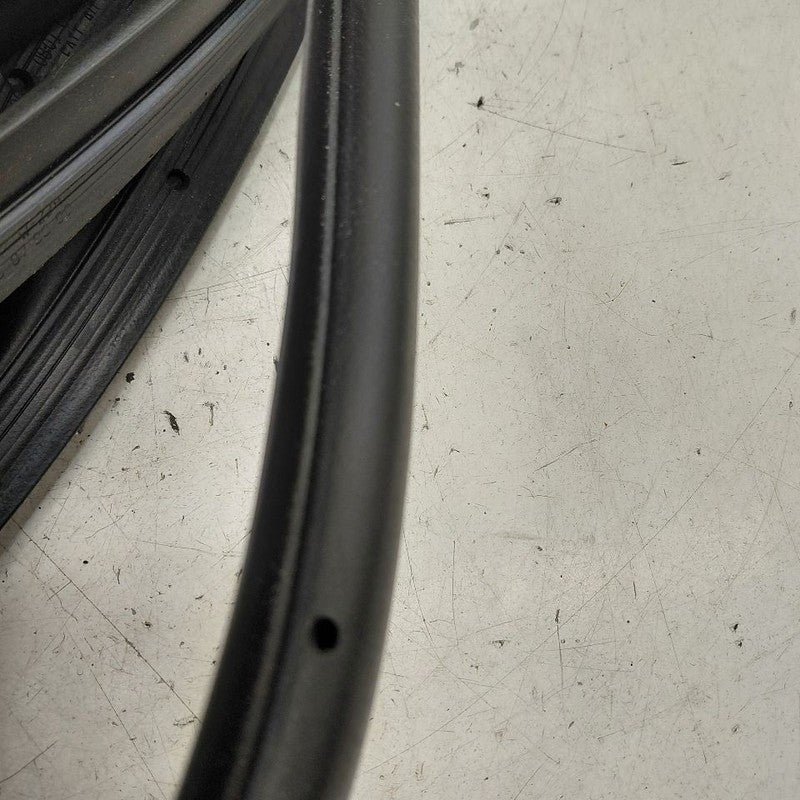 Cadillac CT6 On Door Seal Rubber Right Passenger Rear Back  2018 2017 