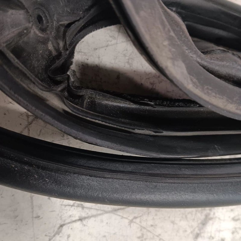 Nissan Kicks On Door Seal Rubber Left Driver Front  2021 2022 2023 2024