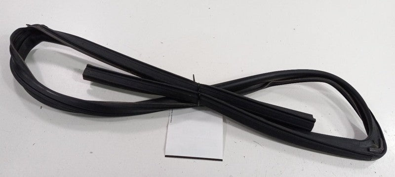 Dodge Journey Door Glass Window Seal Rubber Right Passenger Front 2009