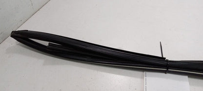 Honda Accord Door Glass Window Seal Rubber Right Passenger Rear Back 2015 2014 