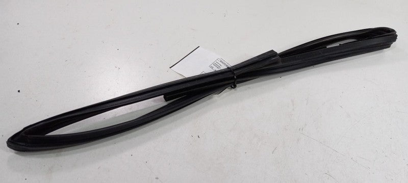 Cadillac CTS Door Glass Window Seal Rubber Right Passenger Front 2010 