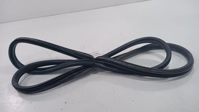 Fiat 500 On Body Door Jamb Seal Front Right Passenger  2012 2013 2014 