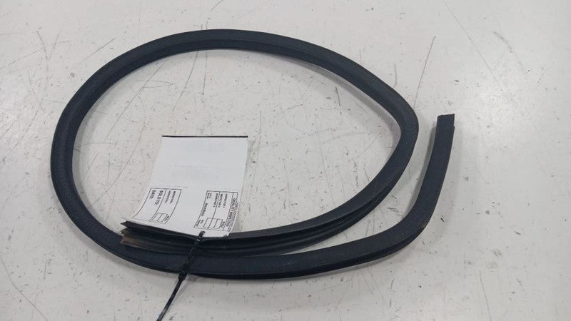 Fiat 500 On Door Seal Rubber Right Passenger Front  2012 2013 2014 201