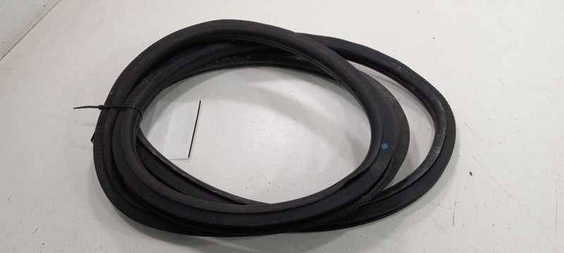 Cadillac XTS On Body Door Jamb Seal Rear Left Back 2013 2014 2015 2016
