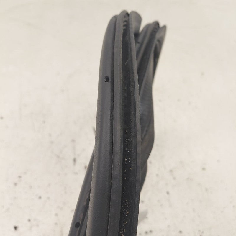 Ford Edge On Body Door Jamb Seal Gasket Front Left Driver  2019 2020 2