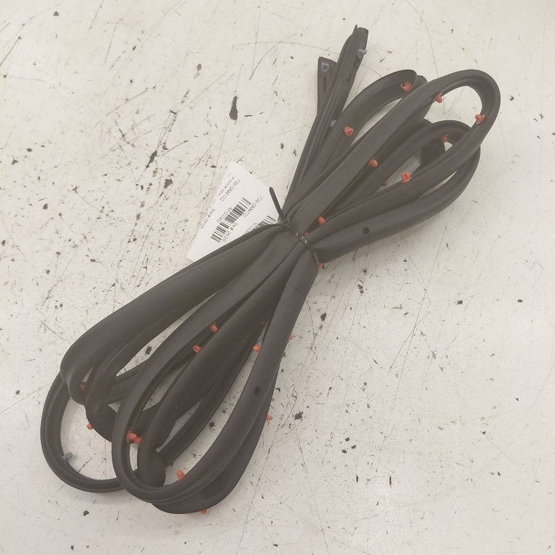 Buick Encore GX On Door Seal Rubber Left Driver Rear Back  2022 2023 2