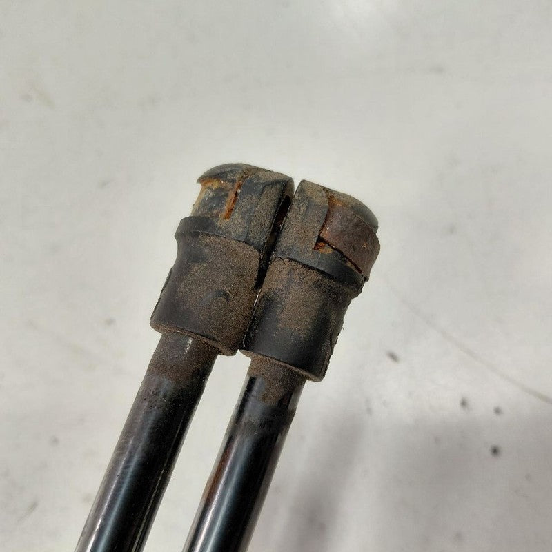 Buick Encore Hatchback Hatch Back Trunk Lid Shock Strut Support  2020 