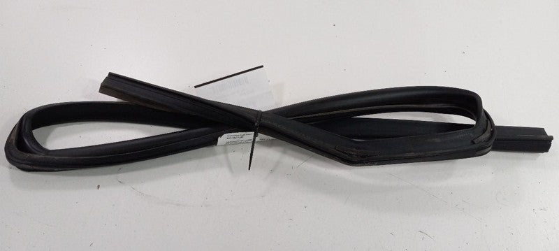 Dodge Journey Door Glass Window Seal Rubber Right Passenger Rear Back 