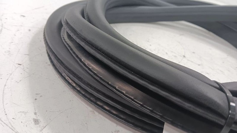 Chevy Volt On Body Door Jamb Seal Front Right Passenger  2011 2012 2013 2014 201