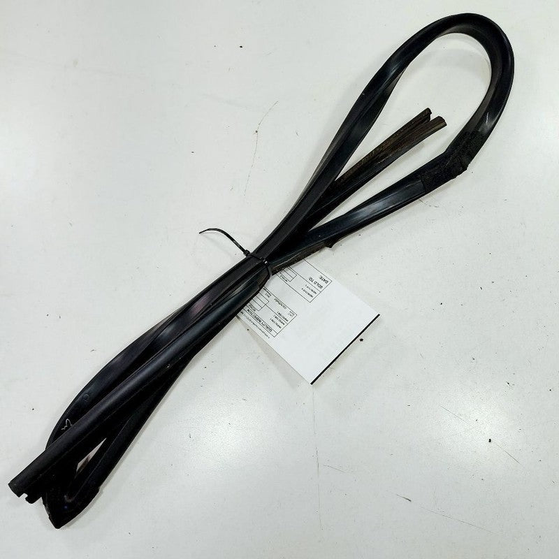 Chrysler 300 Door Glass Window Seal Rubber Left Driver Front  2017 201