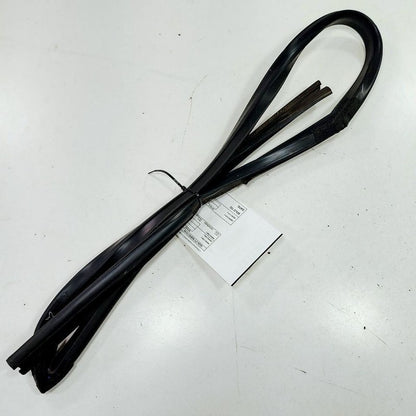 Chrysler 300 Door Glass Window Seal Rubber Left Driver Front  2017 201