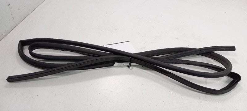 Volkswagen Rabbit On Door Seal Rubber Right Passenger Front 2006 2007 