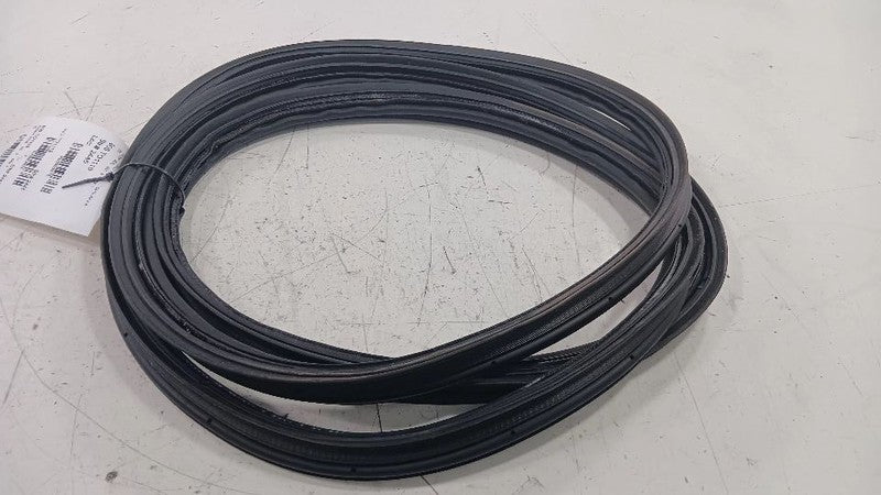 2019 Toyota Rav Trunk Lid Hatch Door Rear Back Rubber Seal