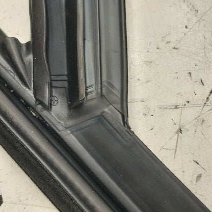 Volvo S60 Door Glass Window Seal Rubber Left Driver Front  2018 2017 2
