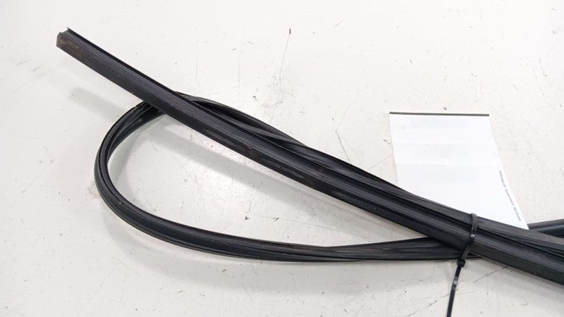 Toyota Prius Door Glass Window Seal Rubber Right Passenger Front 2015 2014 2013 